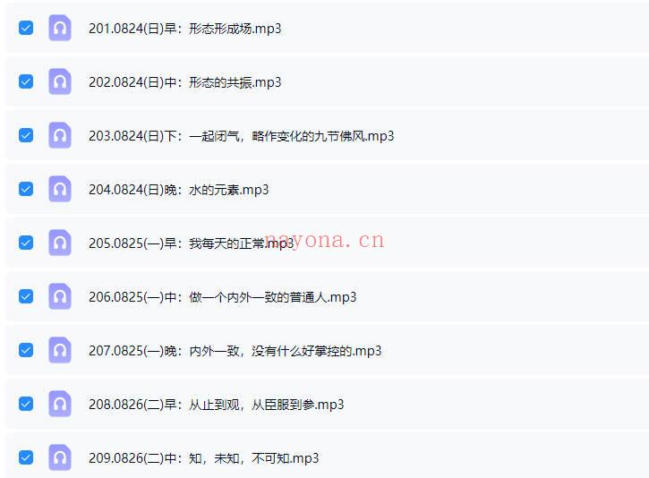 杨定一博士2025年【中道，中道到底】全球线上静心音频课200多节+配套文档