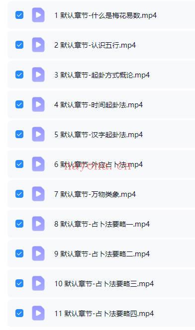 崇云道长《皇族内秘梅花易数精讲》视频课11集
