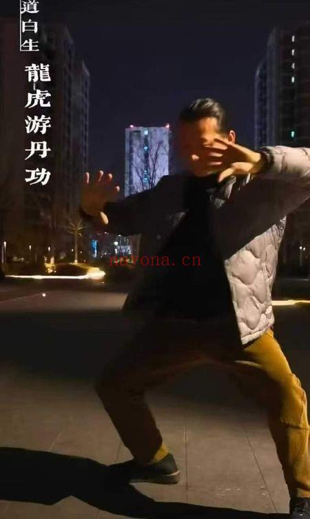 道白生《龙虎丹道》传承班实修筑基课 视频课19集