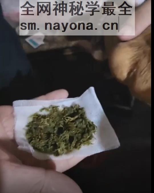 微信截图_20240410173859.png