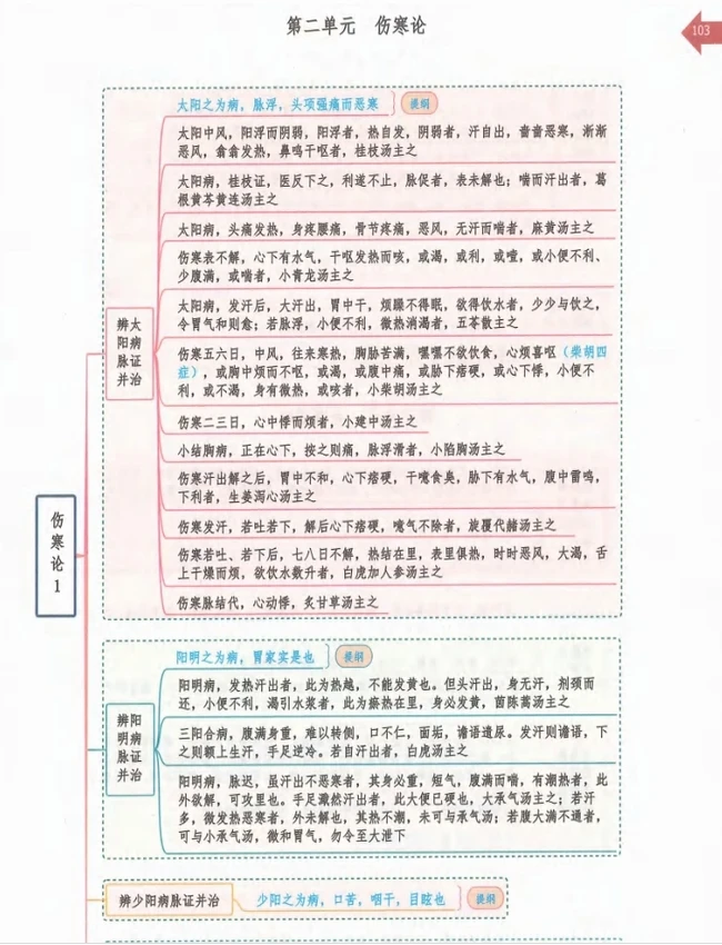中医中药方剂笔记思维导图 合集20本插图 中医中药方剂笔记思维导图 合集20本插图