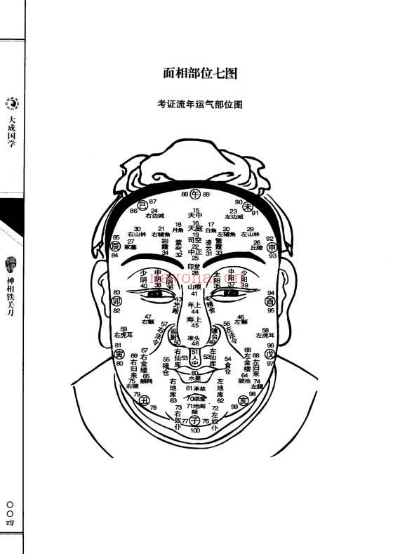 《神相铁关刀文白对照足本全译》378页.PDF电子版