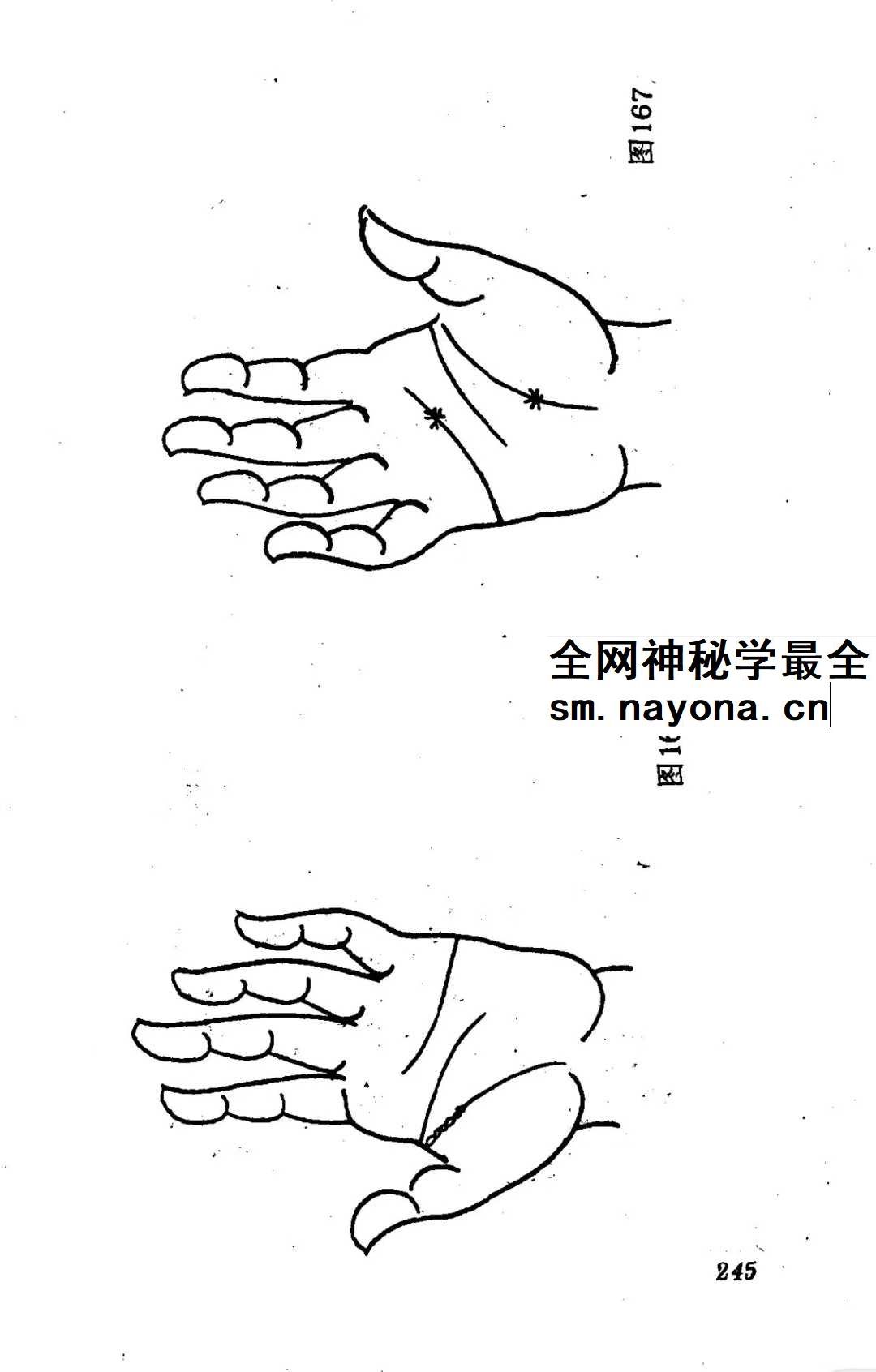 洪丕谟 张文《手相测病大全》274页