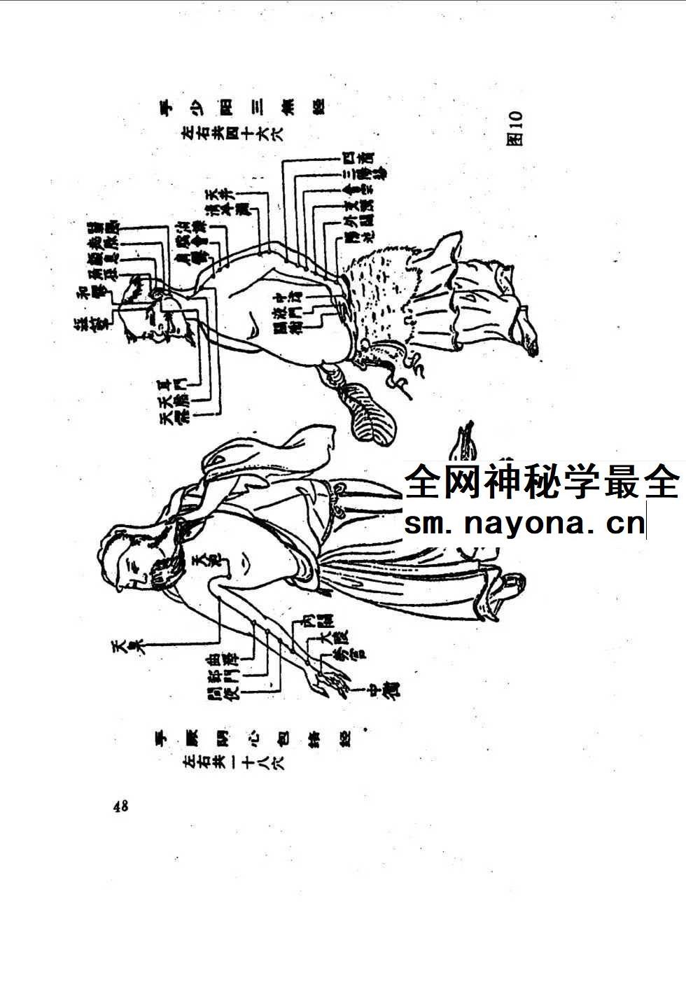 洪丕谟 张文《手相测病大全》274页