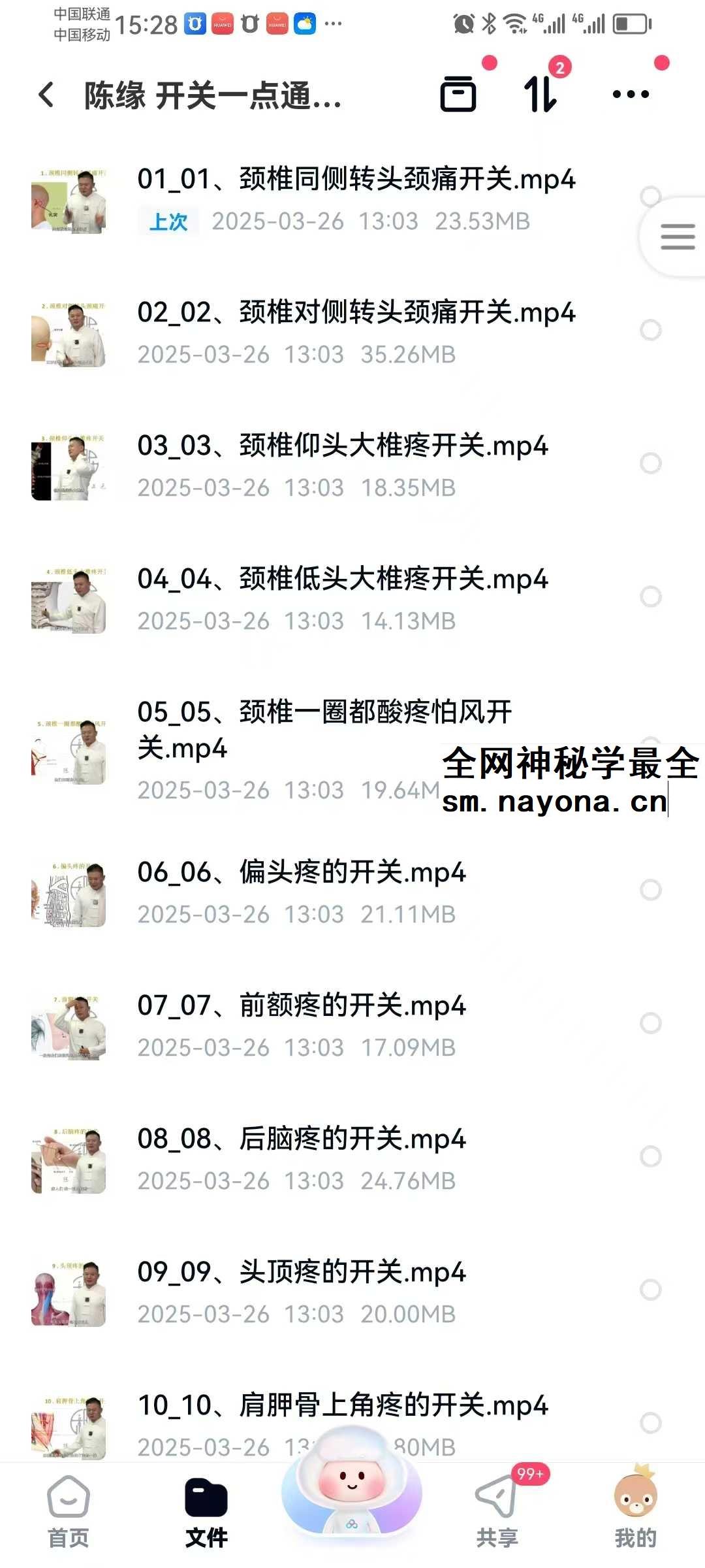 陈缘 开关一点通痛症理疗必学67集