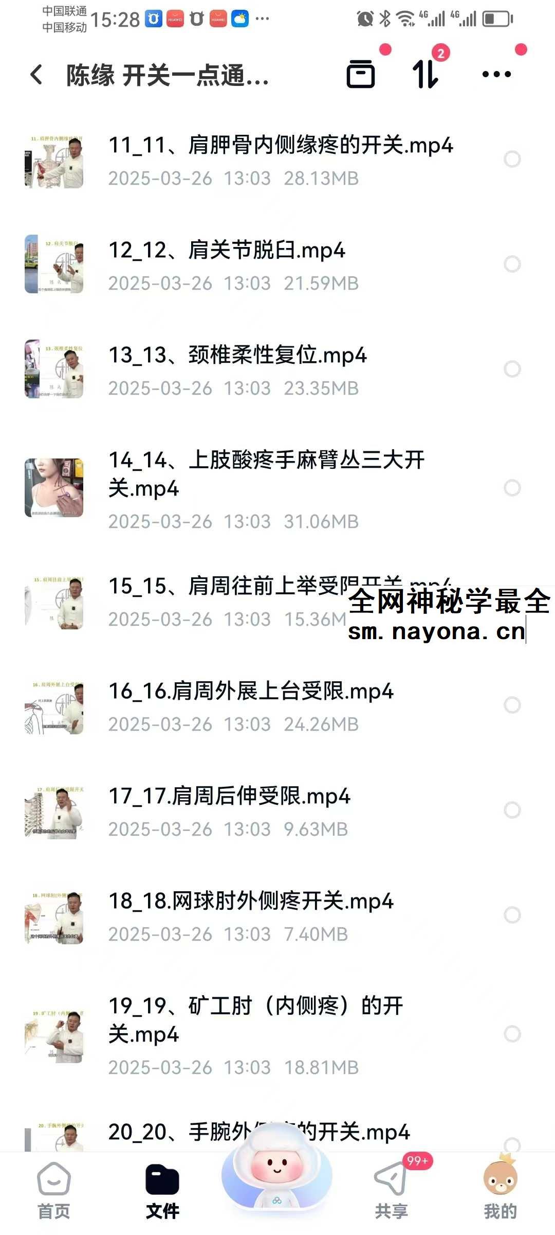 陈缘 开关一点通痛症理疗必学67集