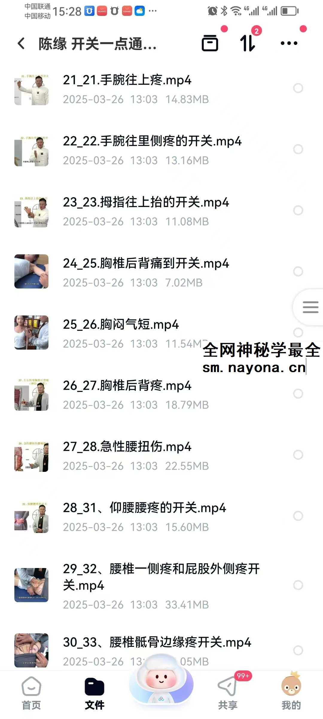 陈缘 开关一点通痛症理疗必学67集