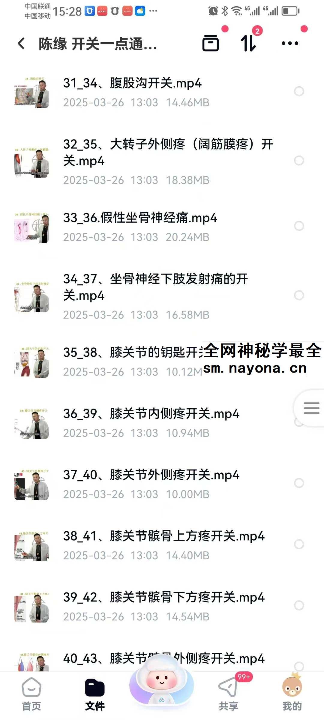 陈缘 开关一点通痛症理疗必学67集