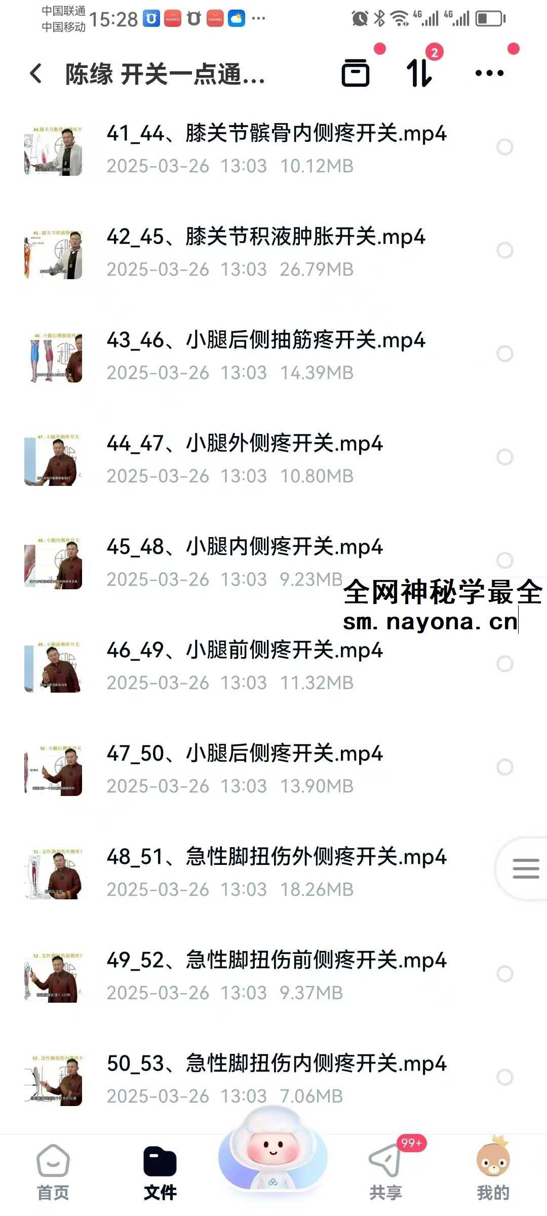 陈缘 开关一点通痛症理疗必学67集