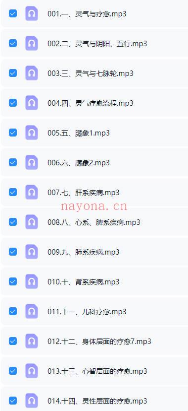 zoehealer《灵气疗愈与实修精讲》14集音频课