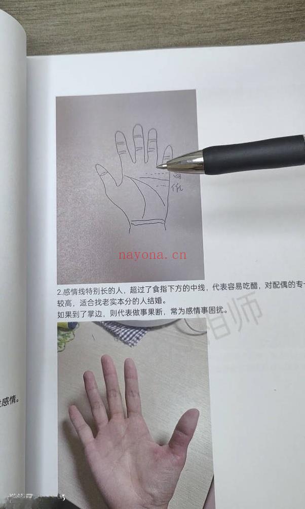 《明灯手相教程第二期》视频+文档