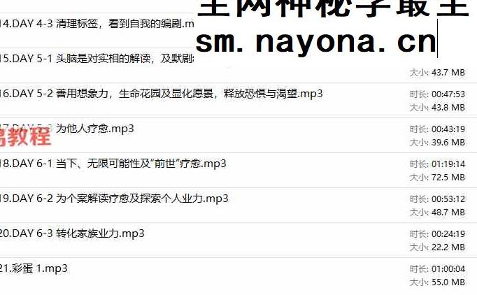 奕辰 2024第三期｜生命的阿卡西音频