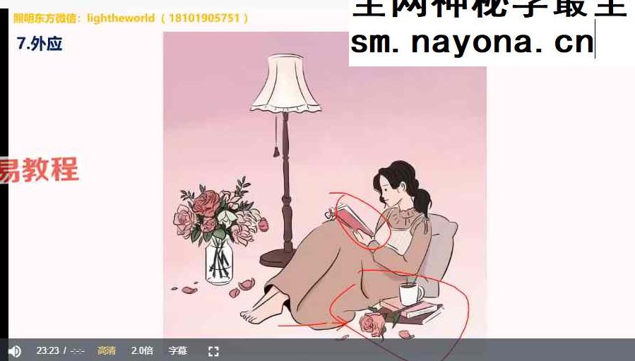 照明东方头像分析高级班二期视频25集