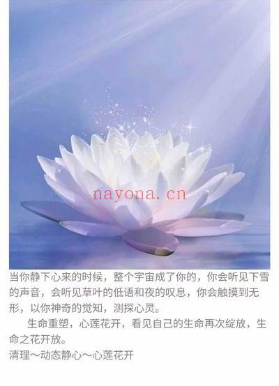 生命重塑~心莲花开(百日筑基补充版)视频19集