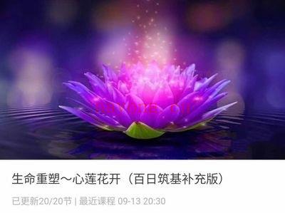 生命重塑～心莲花开（百日筑基补充版）视频19集