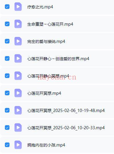 生命重塑~心莲花开(百日筑基补充版)视频19集