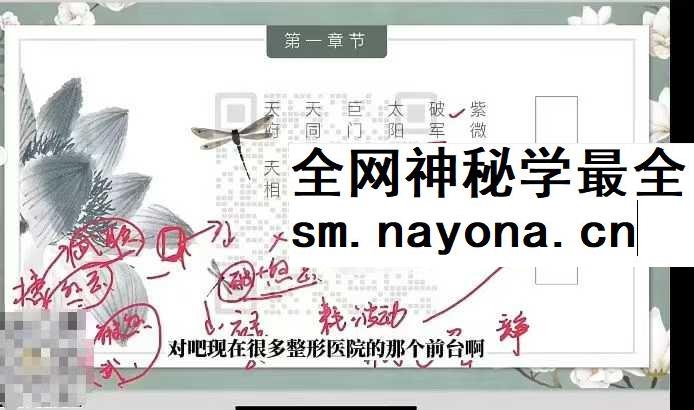 旺旺屋紫微斗数