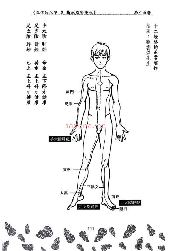 马汗辰《正信的八字三 断厄疾与养生》272页.PDF电子版