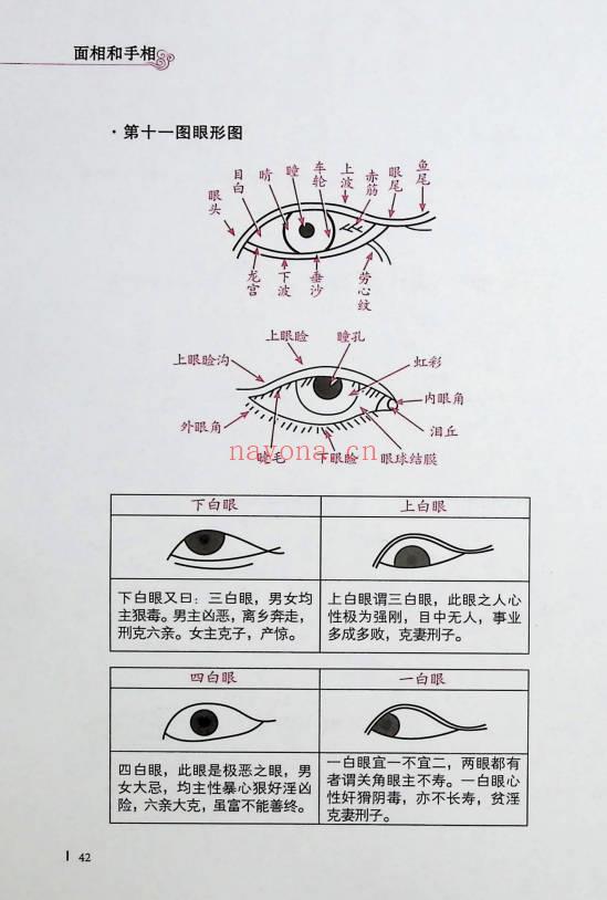 郑伟建《郑博士说面相和手相》255页.PDF电子版