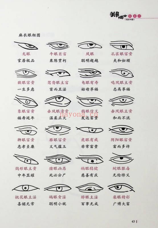 郑伟建《郑博士说面相和手相》255页.PDF电子版