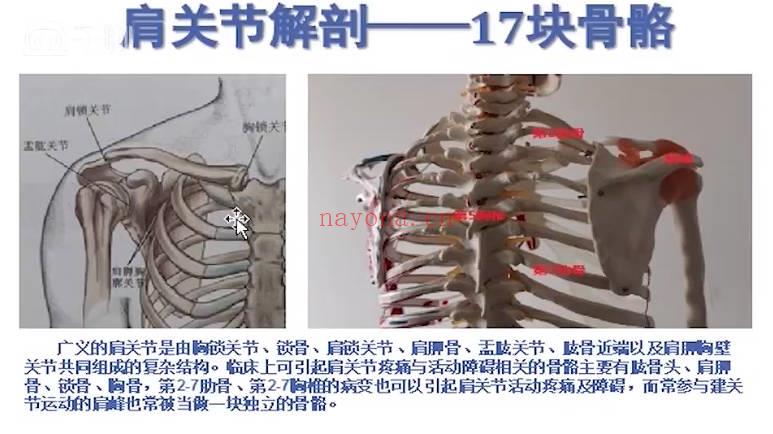 王学昌《治疗肩周炎，跟我学》视频课22集