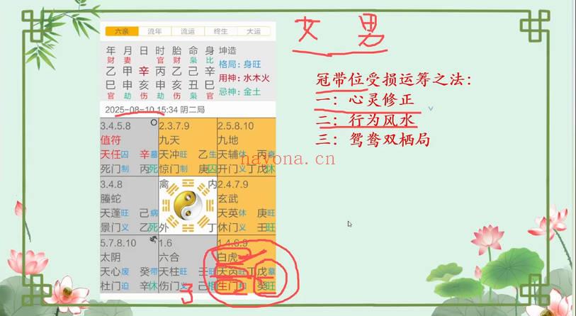如是禅说讲堂-婵悦《奇门秘阵》视频课10集