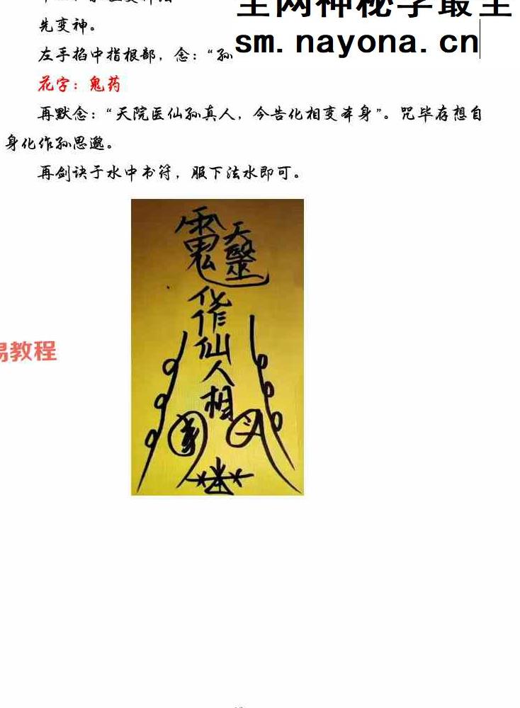 药王天医祝由合集.pdf
