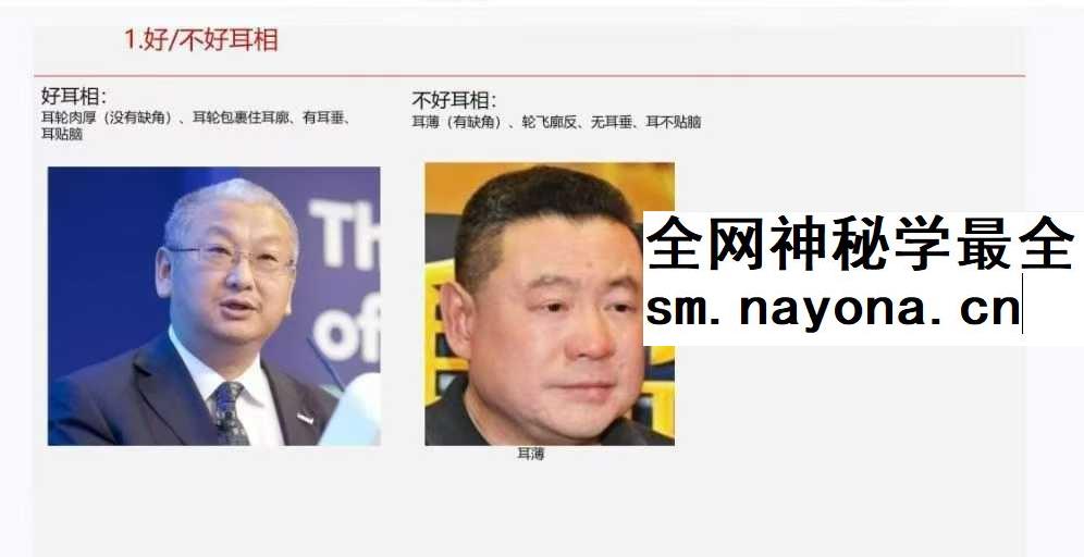 《面相学细微对比图示》286页