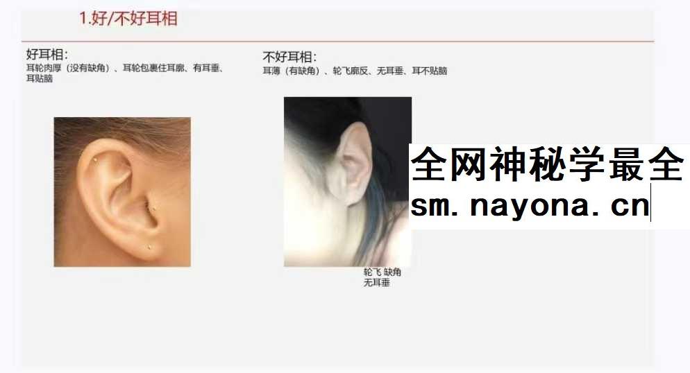 《面相学细微对比图示》286页