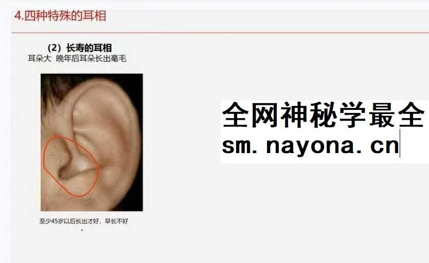 《面相学细微对比图示》286页