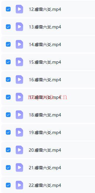 庄卜睿雪 第三期《理气六爻》视频22集