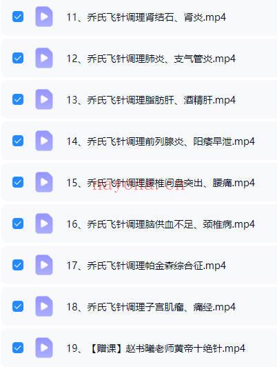 乔元贞《乔氏飞针术》理论+实操 视频课19讲
