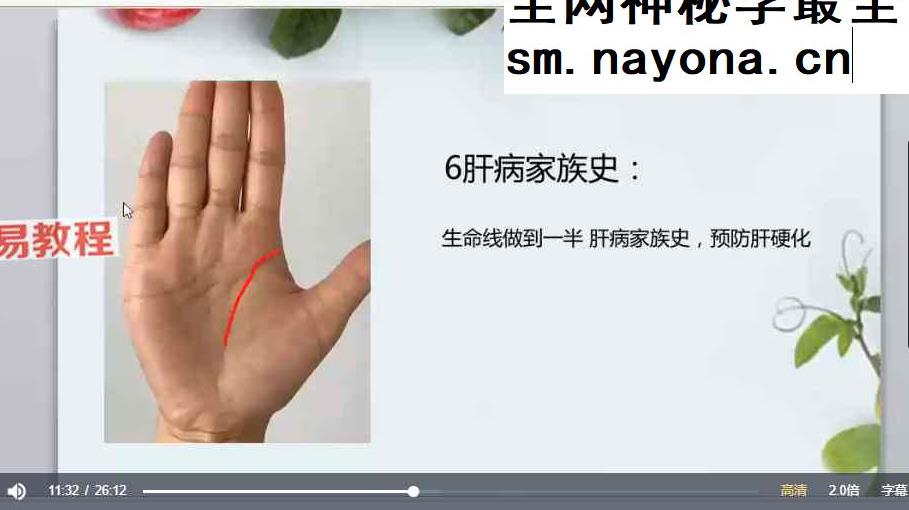0基础 手把手教你用手诊为健康掌舵 视频12集