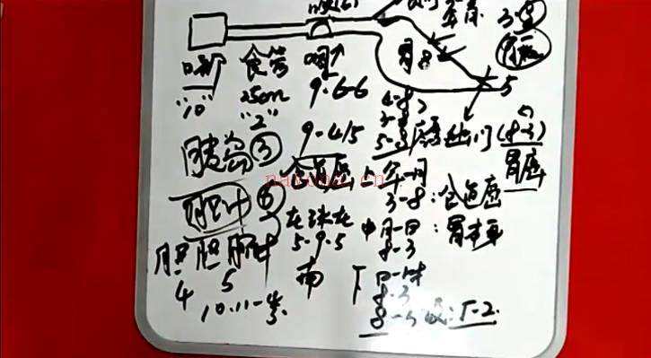 数字易经《五角定律线上辅导课》视频课30集