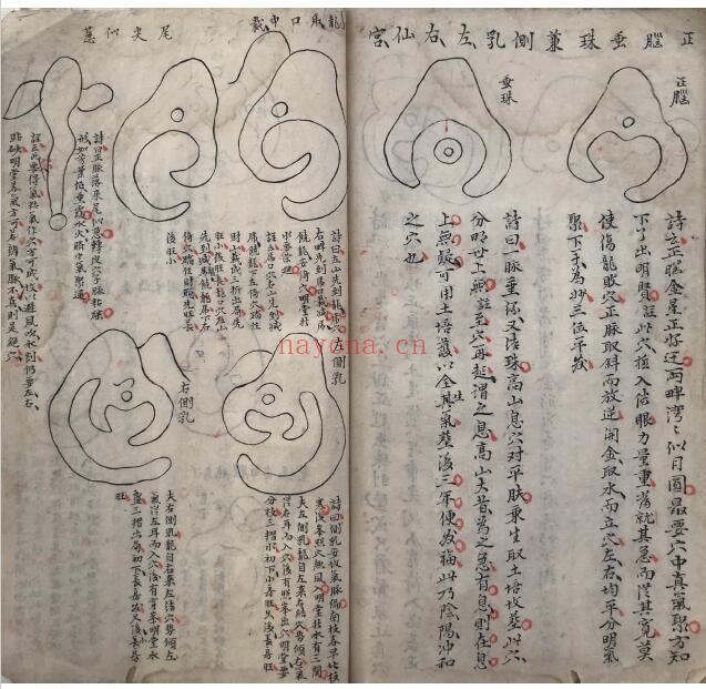 《三宝游氏启蒙》三宝真经.胡矮仙传风水杨公立锥赋 138页双页版(有破损残缺) 国学古籍 第4张-古籍汇典 《三宝游氏启蒙》三宝真经.胡矮仙传风水杨公立锥赋 138页双页版(有破损残缺) 国学古籍 第4张