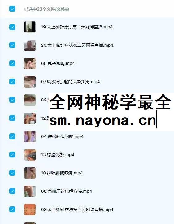 王英杰 太上御针疗法网课23集