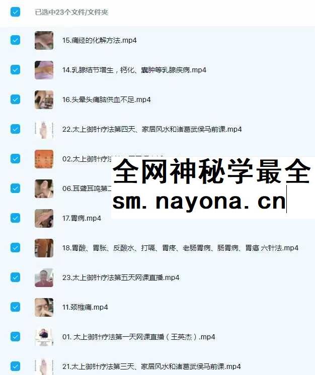 王英杰 太上御针疗法网课23集