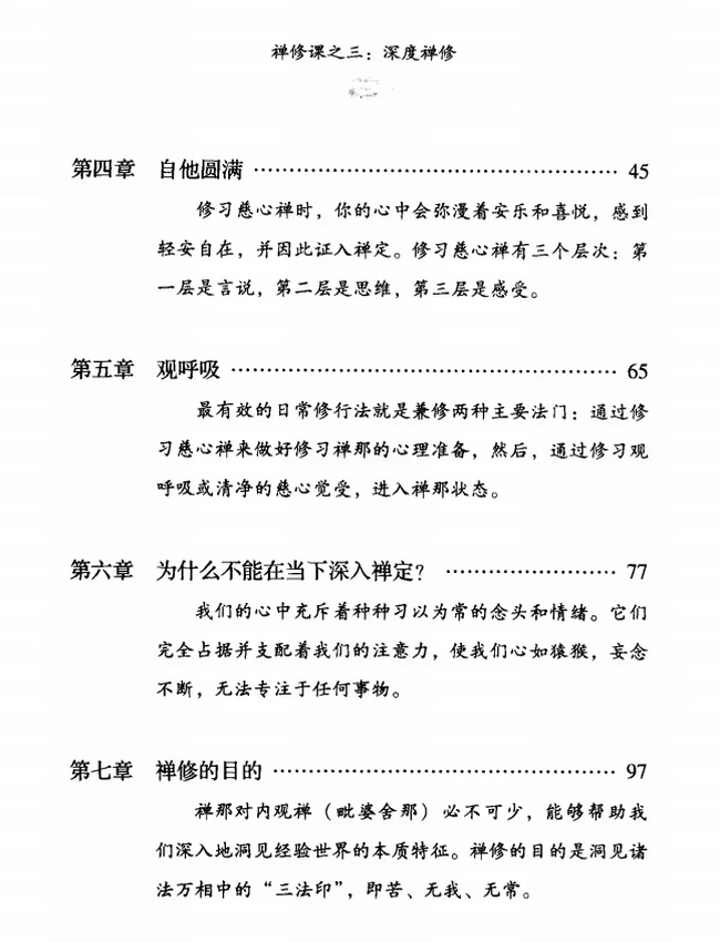 深度禅修–德宝法师插图 深度禅修–德宝法师插图