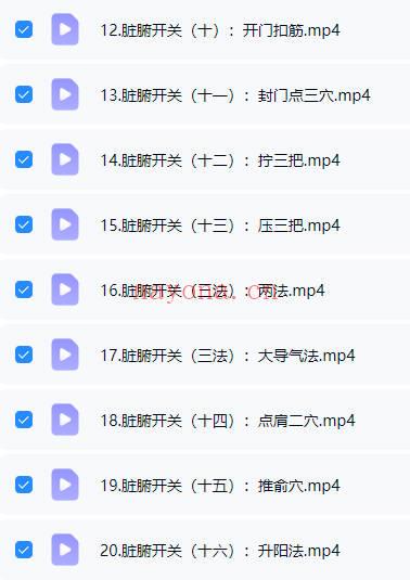 任运堂《道医脏腑调理班》视频课20讲