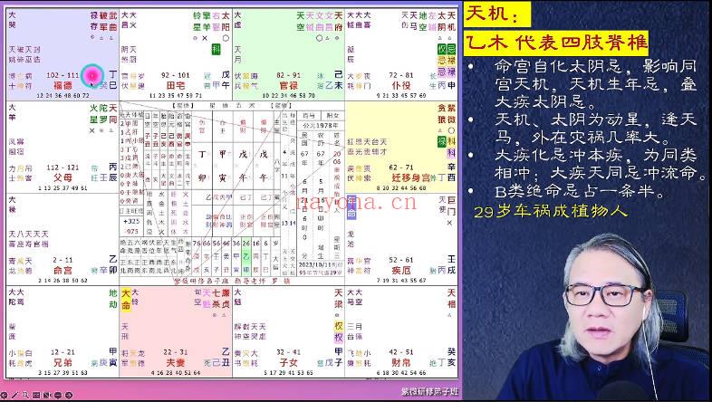 罗镇《紫微斗数研修弟子班+第12期案例分享》视频课44集