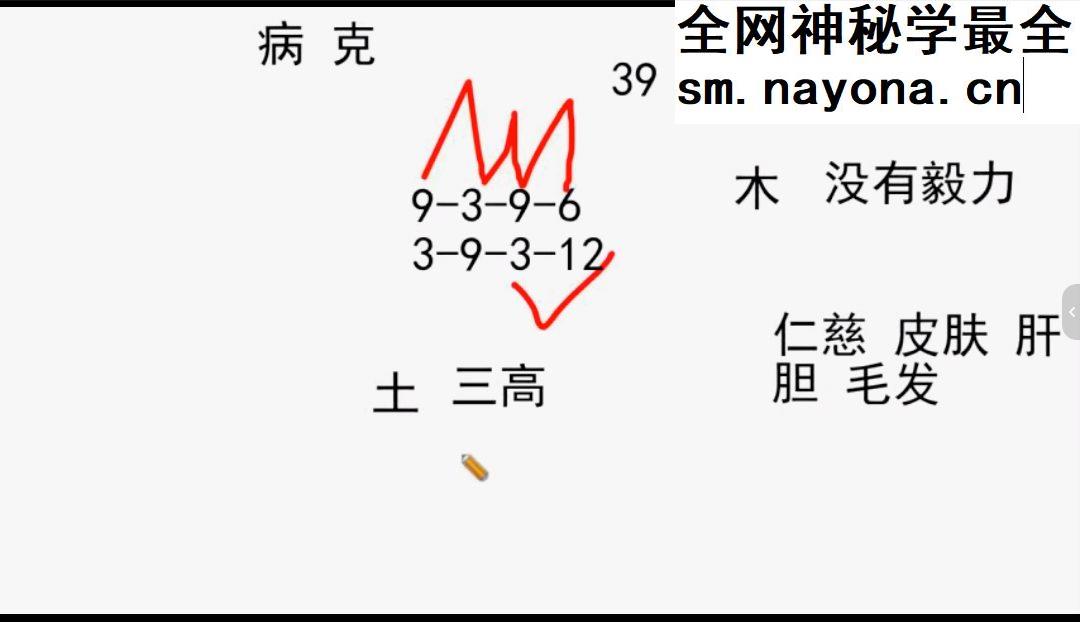道源老师2025年高级班生命能量怎么看人生 视频29集