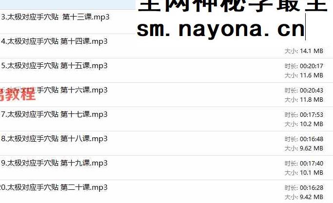 方寸山 太极对应手贴课 音频20集