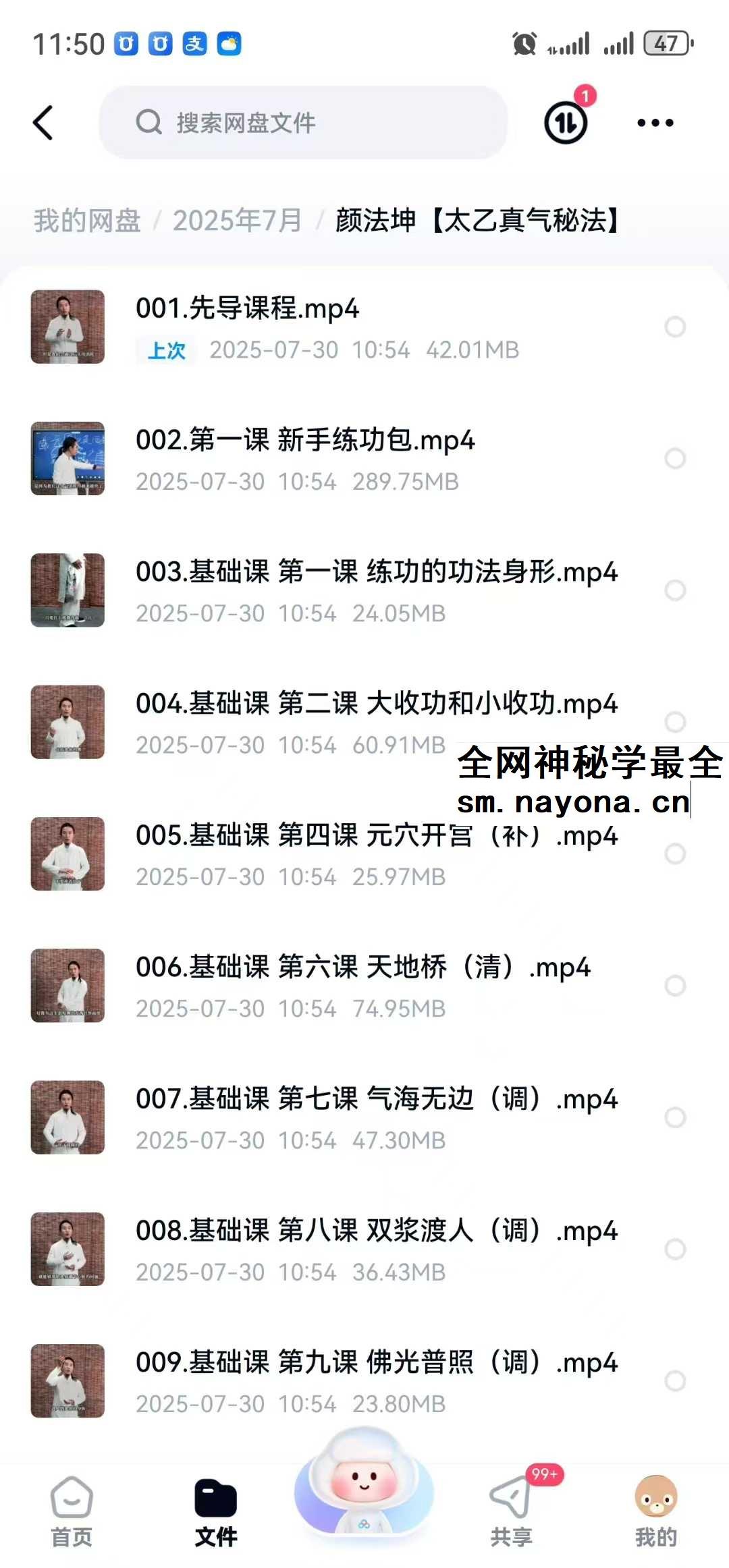 颜法坤【太乙真气秘法】29集