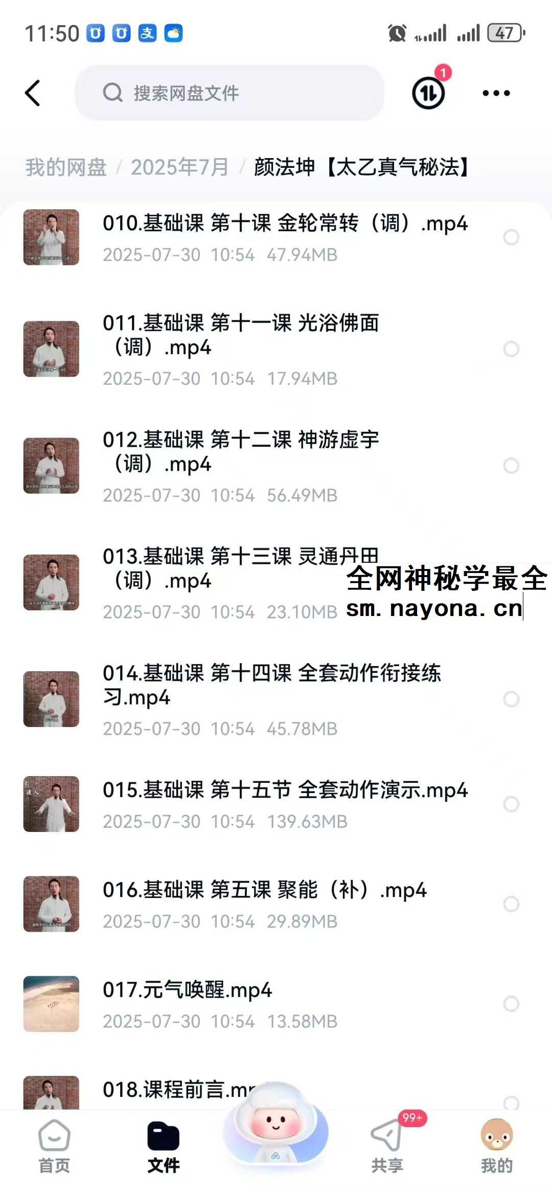 颜法坤【太乙真气秘法】29集