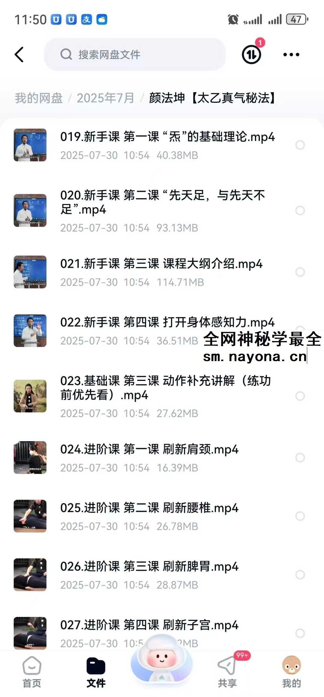 颜法坤【太乙真气秘法】29集