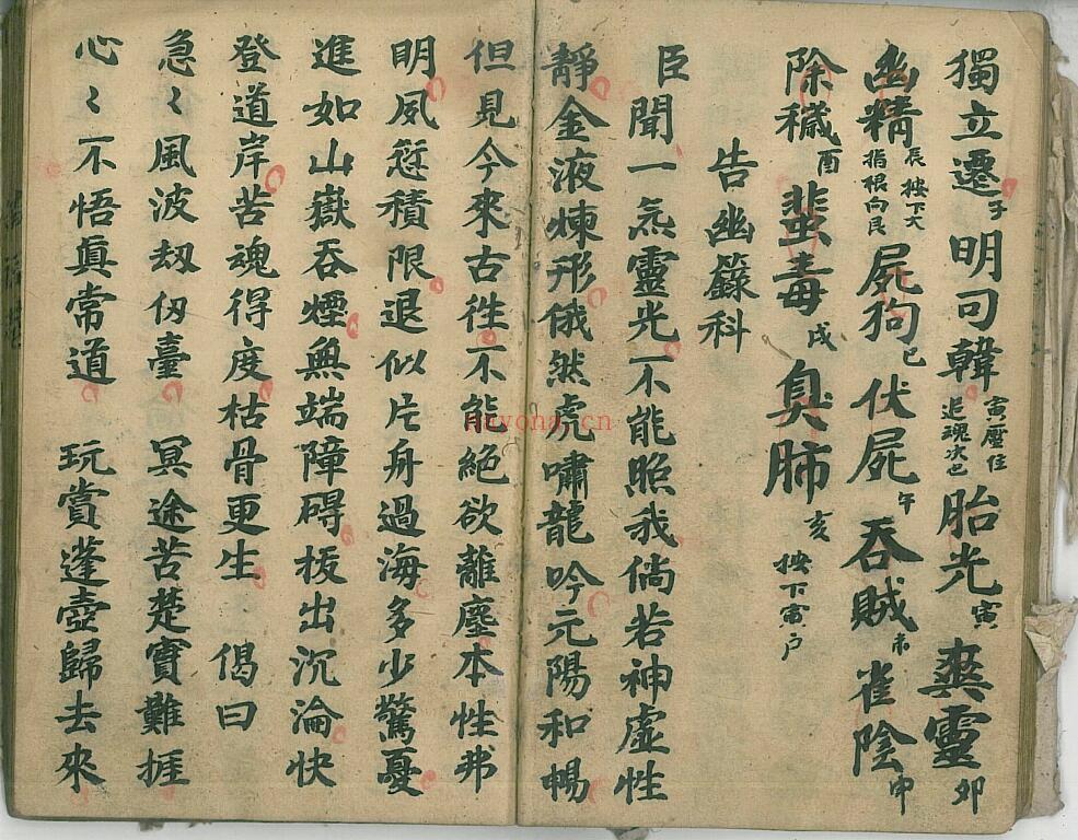 道家科仪古籍《祭炼大玄科》47页双页版 国学古籍 第4张-古籍汇典 道家科仪古籍《祭炼大玄科》47页双页版 国学古籍 第4张