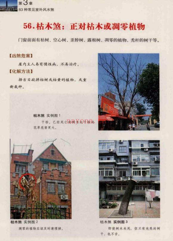 高永平《好宅运 实拍家居化解开运166例》237页.PDF电子版