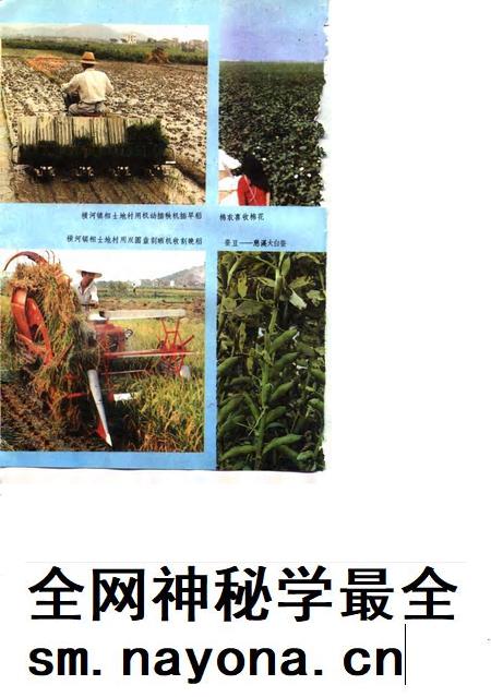 1991-慈溪农业志.pdf电子版_浙江省志插图4 1991-慈溪农业志.pdf电子版_浙江省志插图4