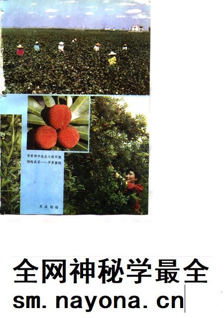 1991-慈溪农业志.pdf电子版_浙江省志插图5 1991-慈溪农业志.pdf电子版_浙江省志插图5