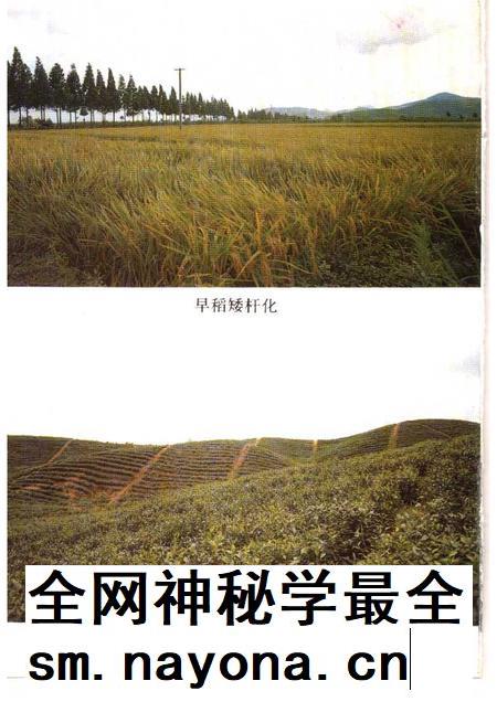 1992-余杭文史资料  第7辑  余杭名产古今谈.pdf电子版_浙江省志插图5